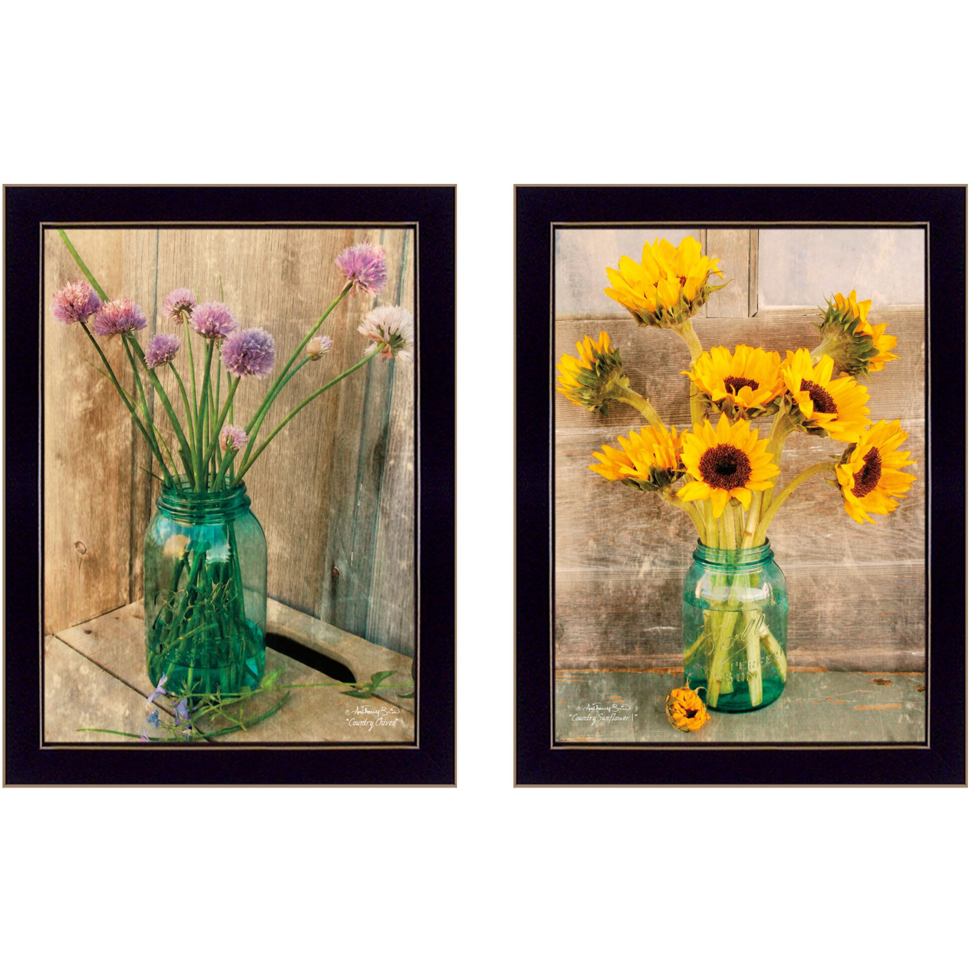 Set Of Two Country Sunflowers and Chives Black Framed Print Wall Art