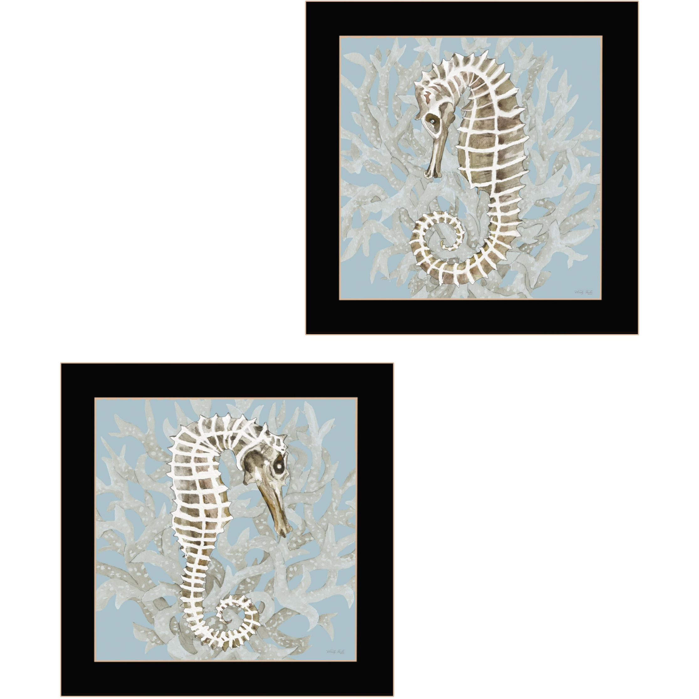 Set Of Two Coral Seahorse Black Framed Print Wall Art