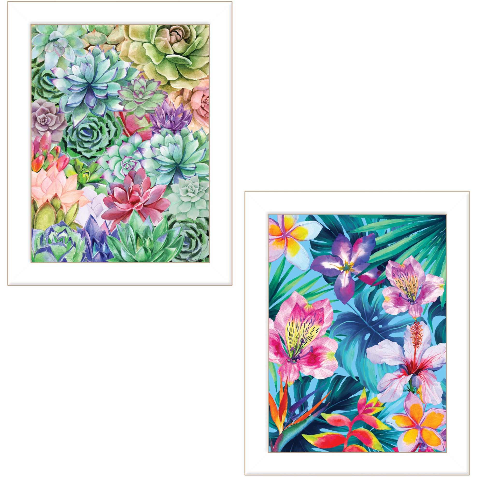 Set Of Two Succulents Paradise and Tropical Flowers White Framed Print Wall Art
