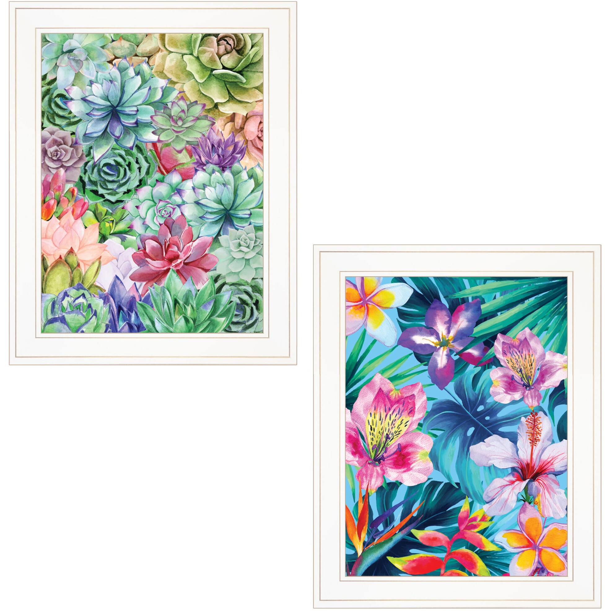 Set Of Two Succulents Paradise and Tropical Flowers White Framed Print Wall Art