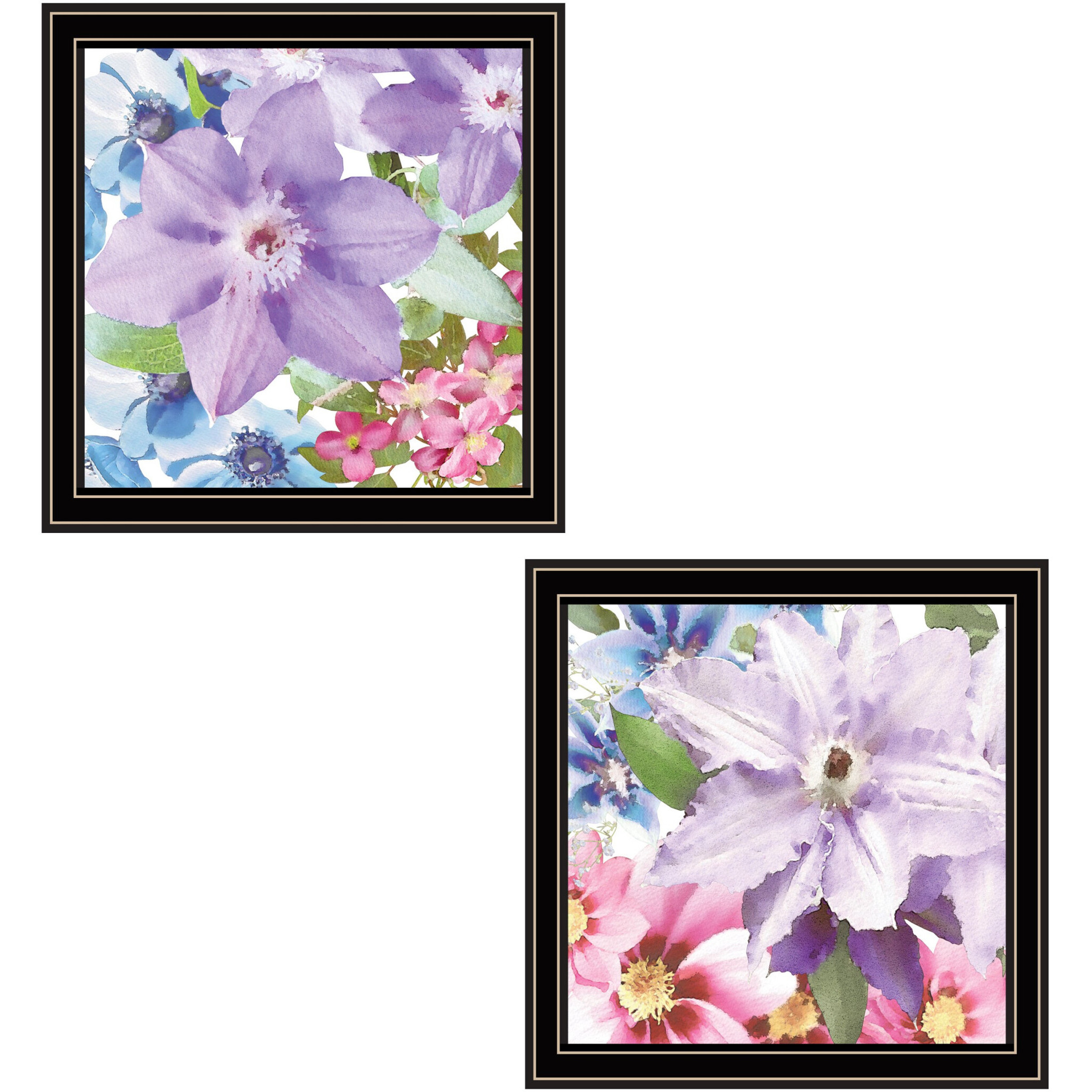 Set Of Two Clematis Black Framed Print Wall Art