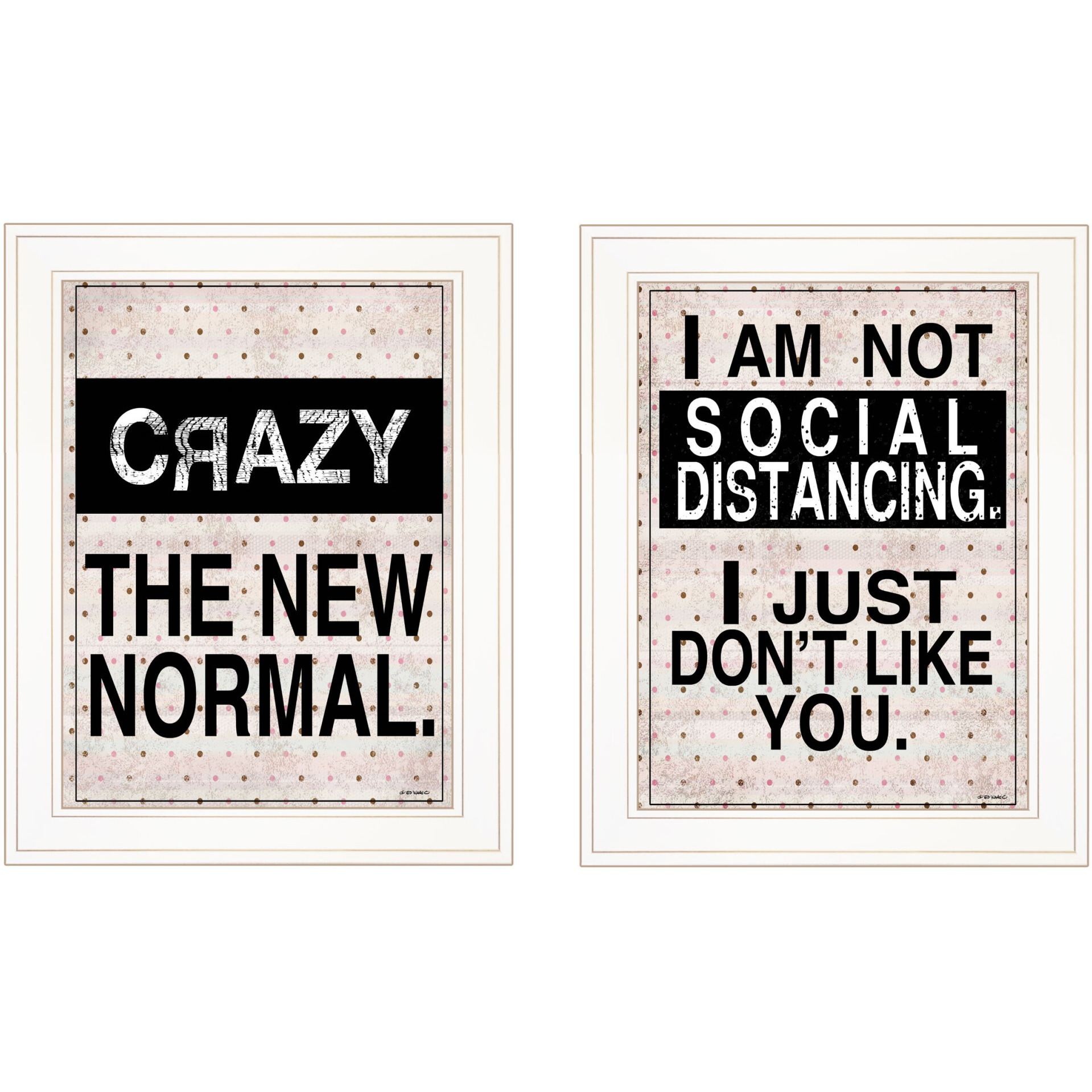 Set Of Two The New Normal White Framed Print Wall Art