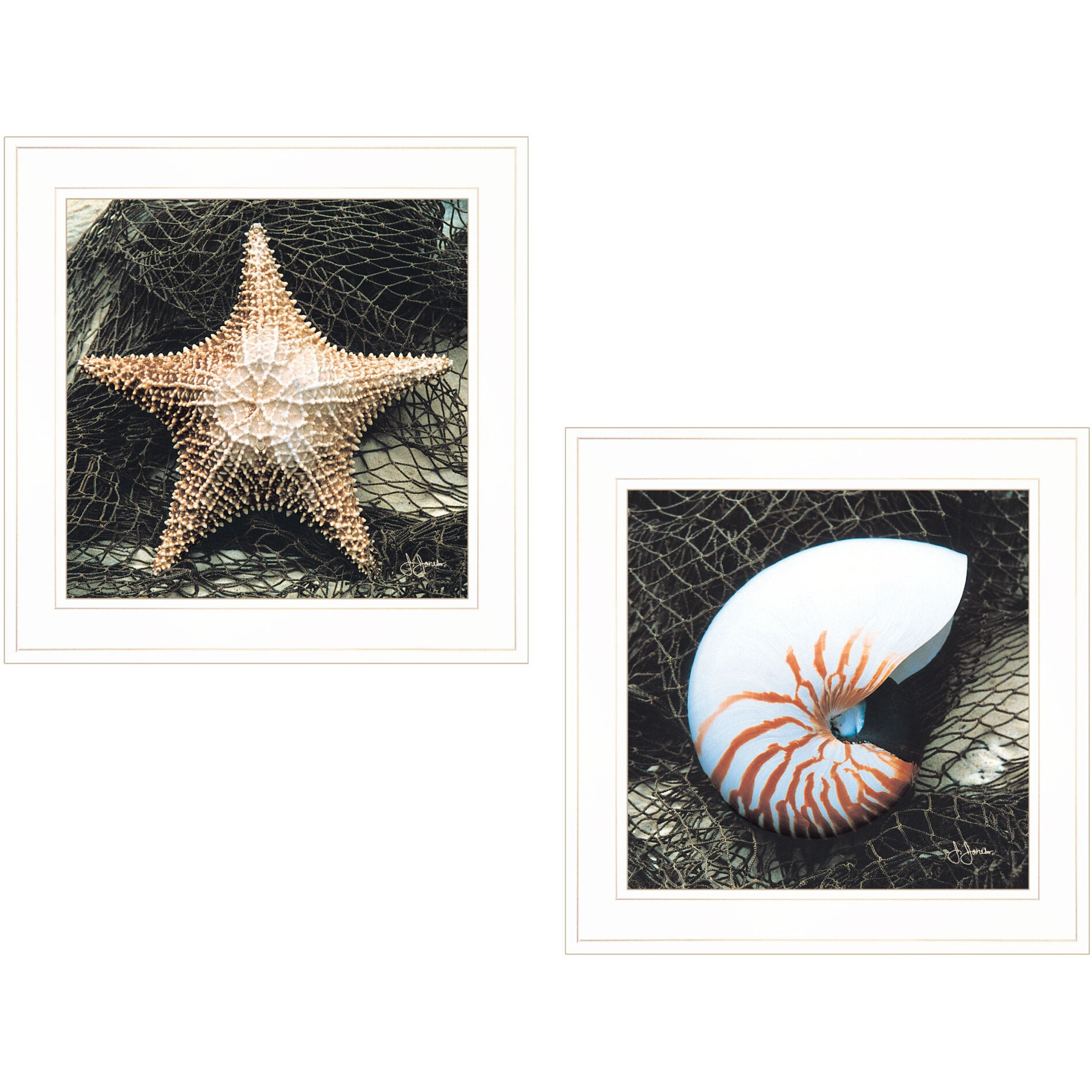 Set Of Two Ocean Net White Framed Print Wall Art