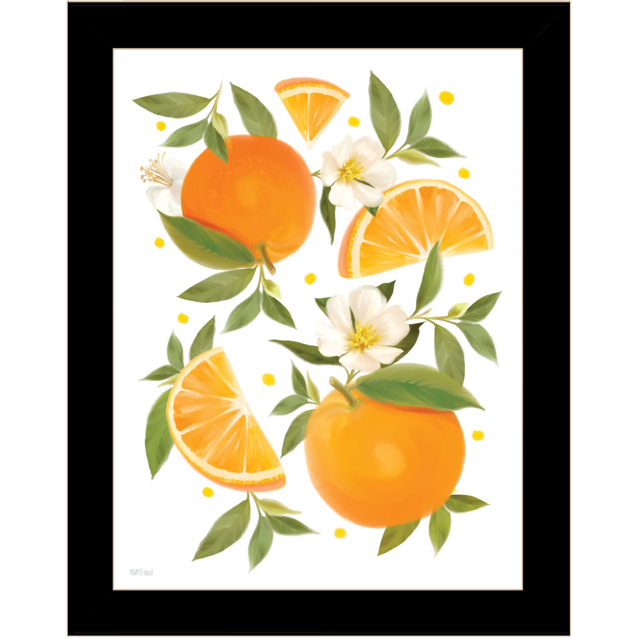 Citrus Orange Botanical Black Framed Print Wall Art