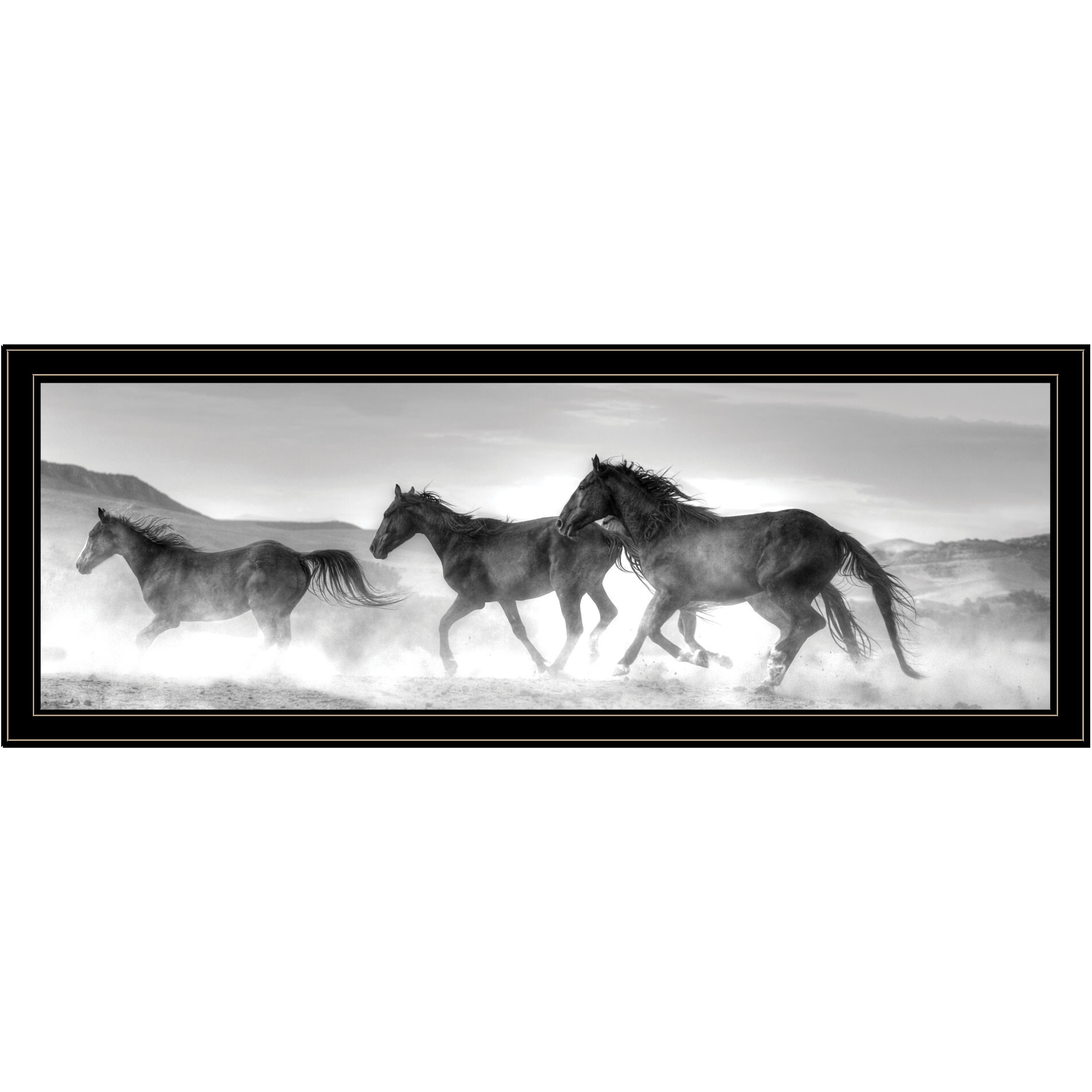 Horses Rolling By Black Framed Print Wall Art