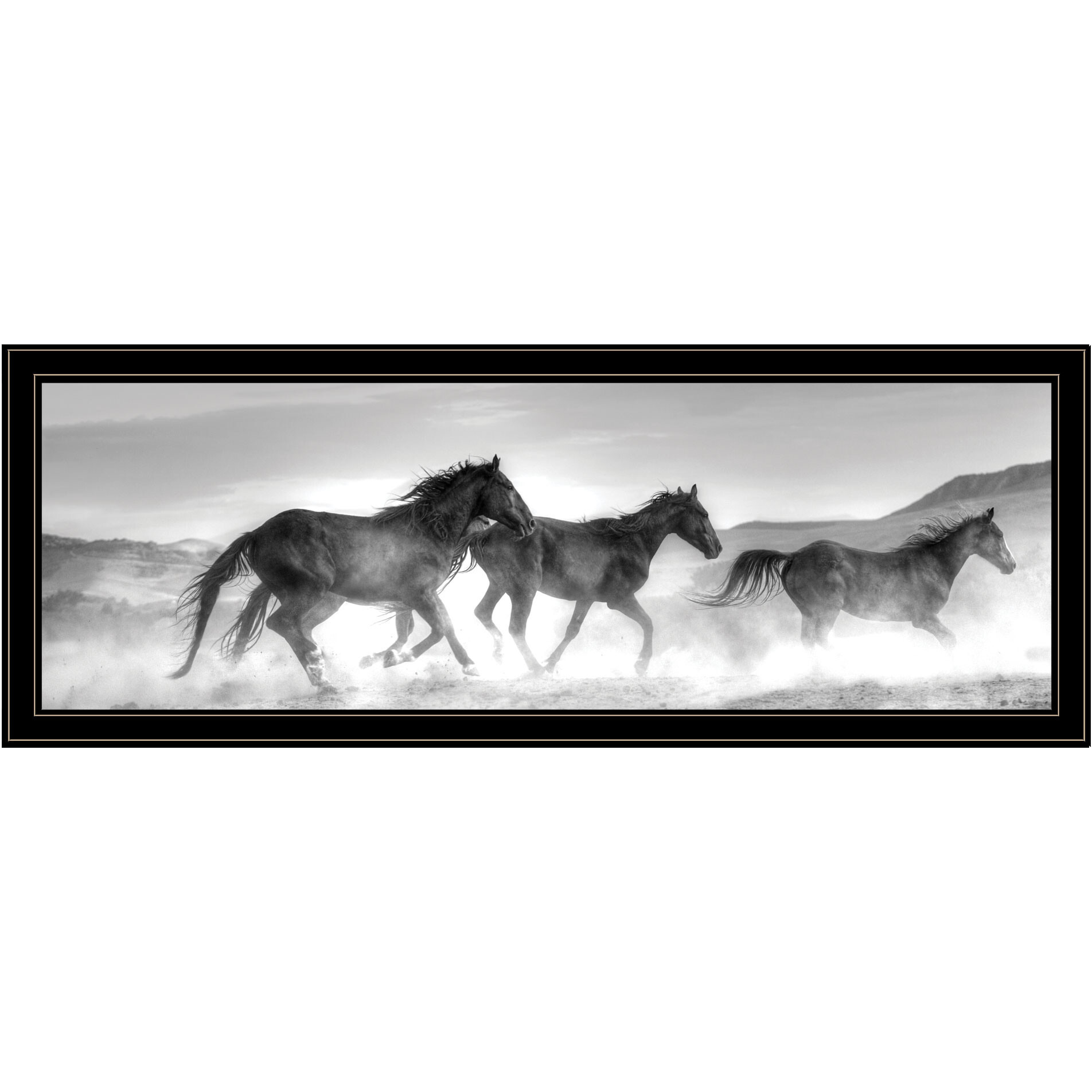 Horses Rolling By Black Framed Print Wall Art