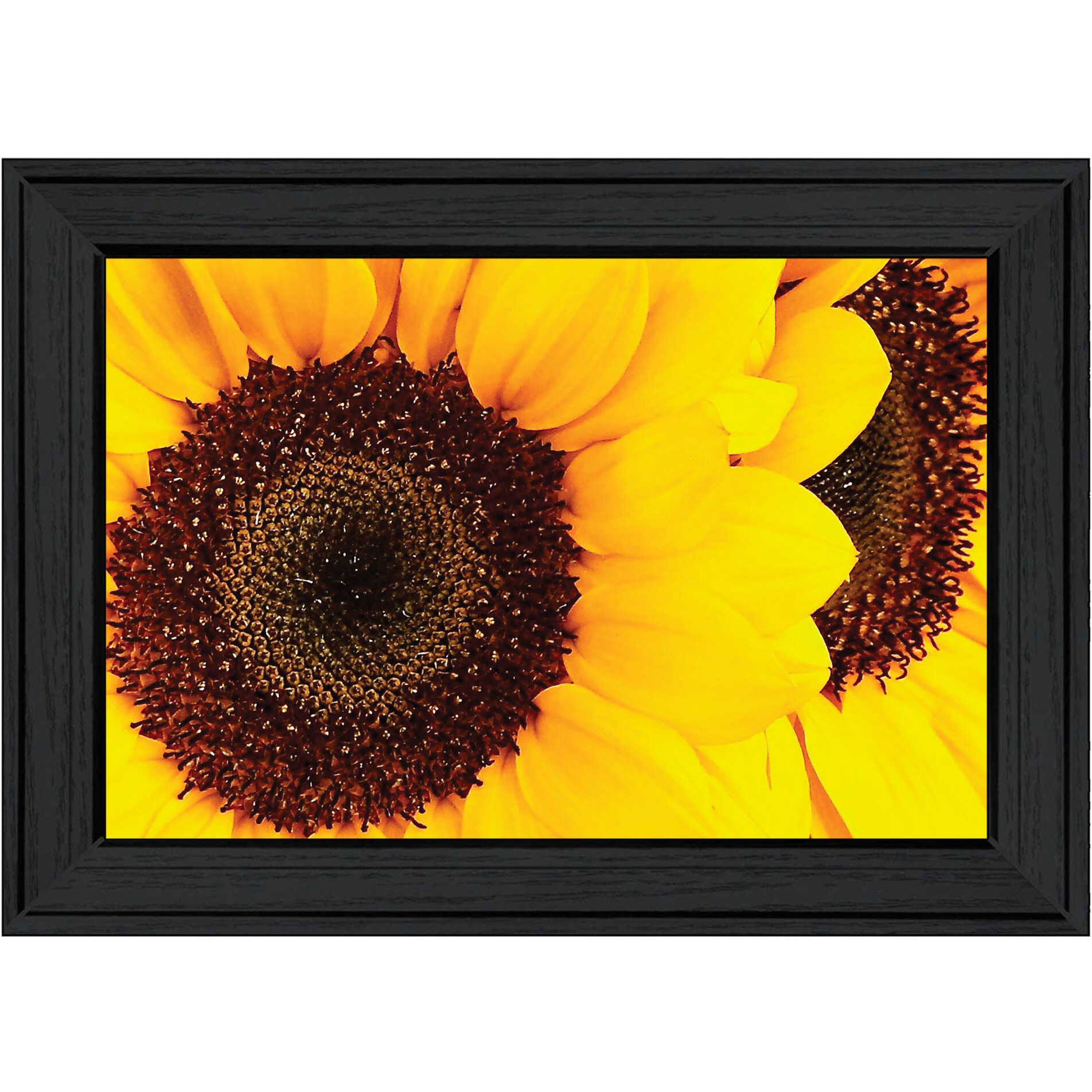 Sunflower Portrait Black Framed Print Wall Art