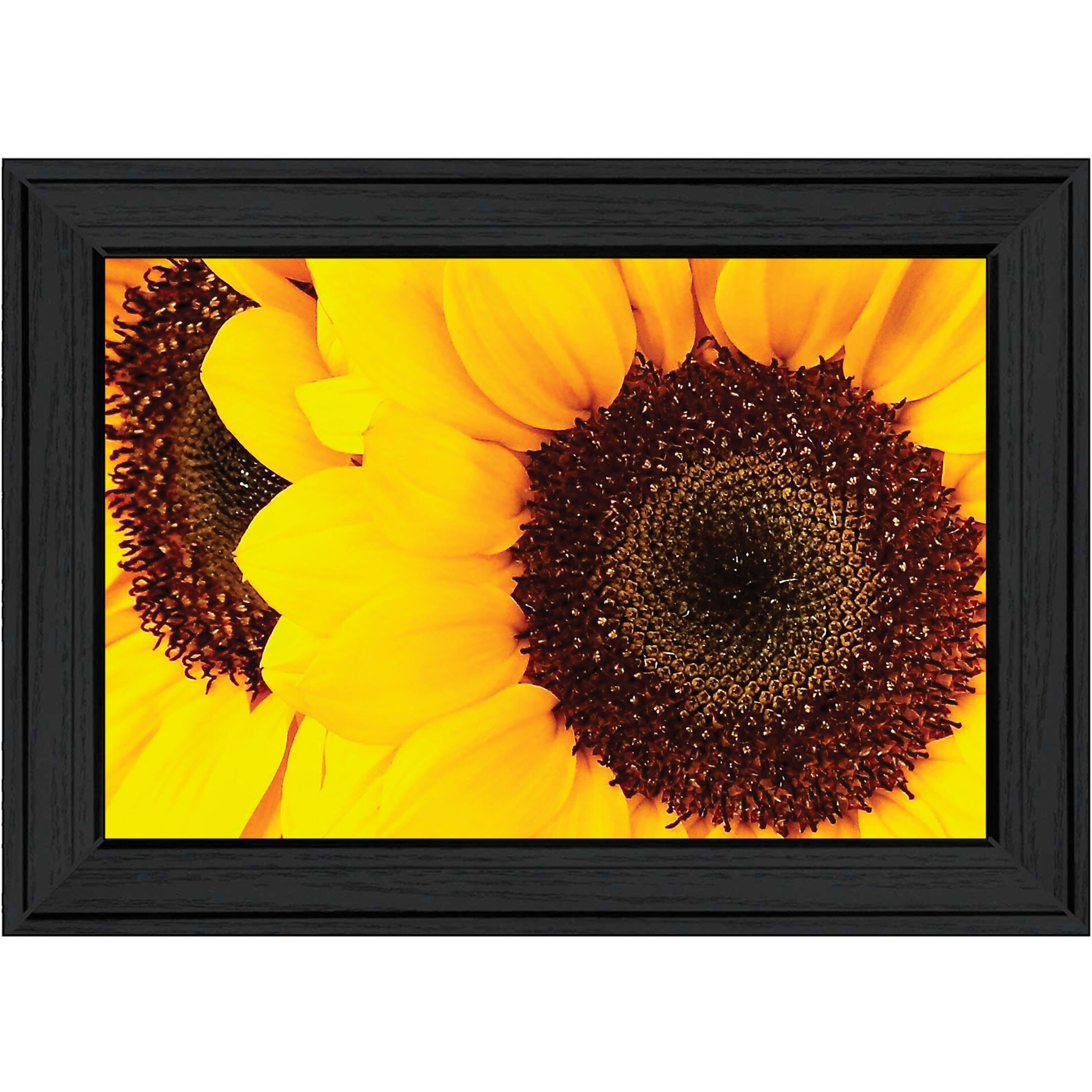 Sunflower Portrait Black Framed Print Wall Art