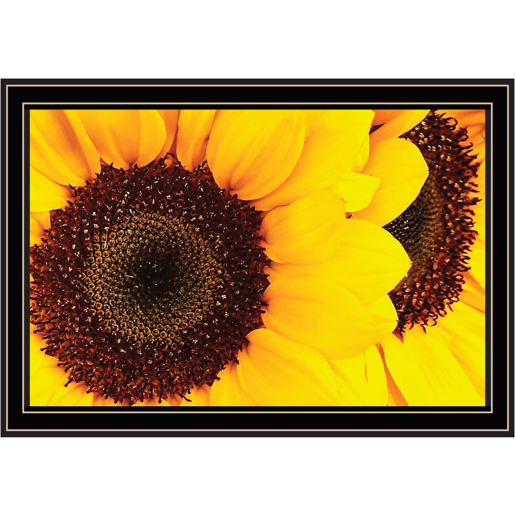 Sunflower Portrait Black Framed Print Wall Art