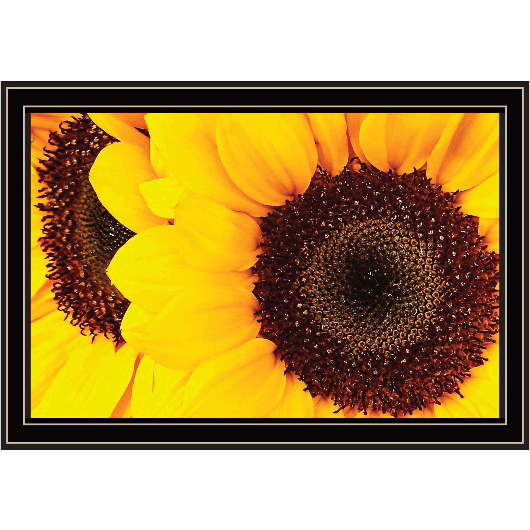 Sunflower Portrait Black Framed Print Wall Art