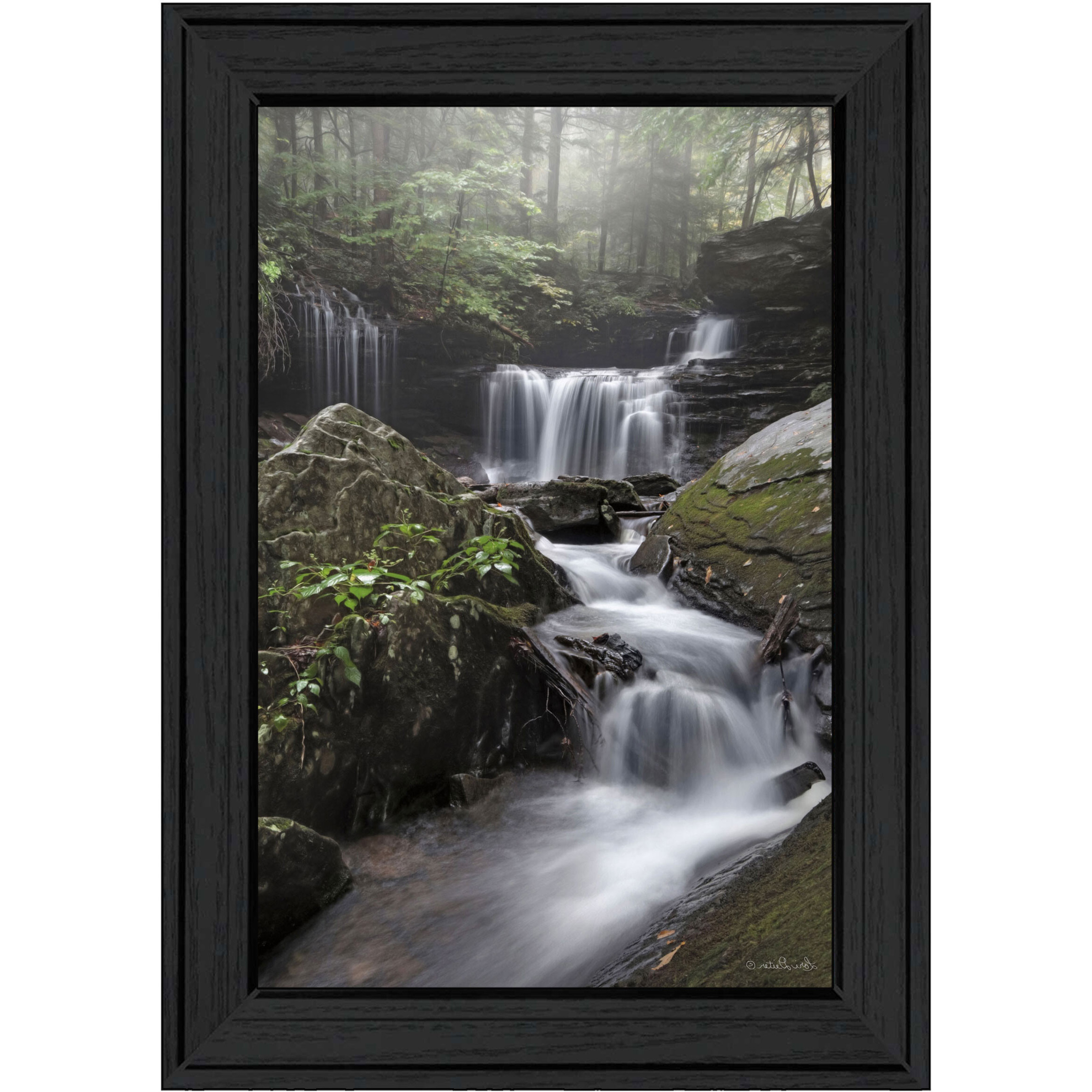 Ricketts Waterfall Black Framed Print Wall Art