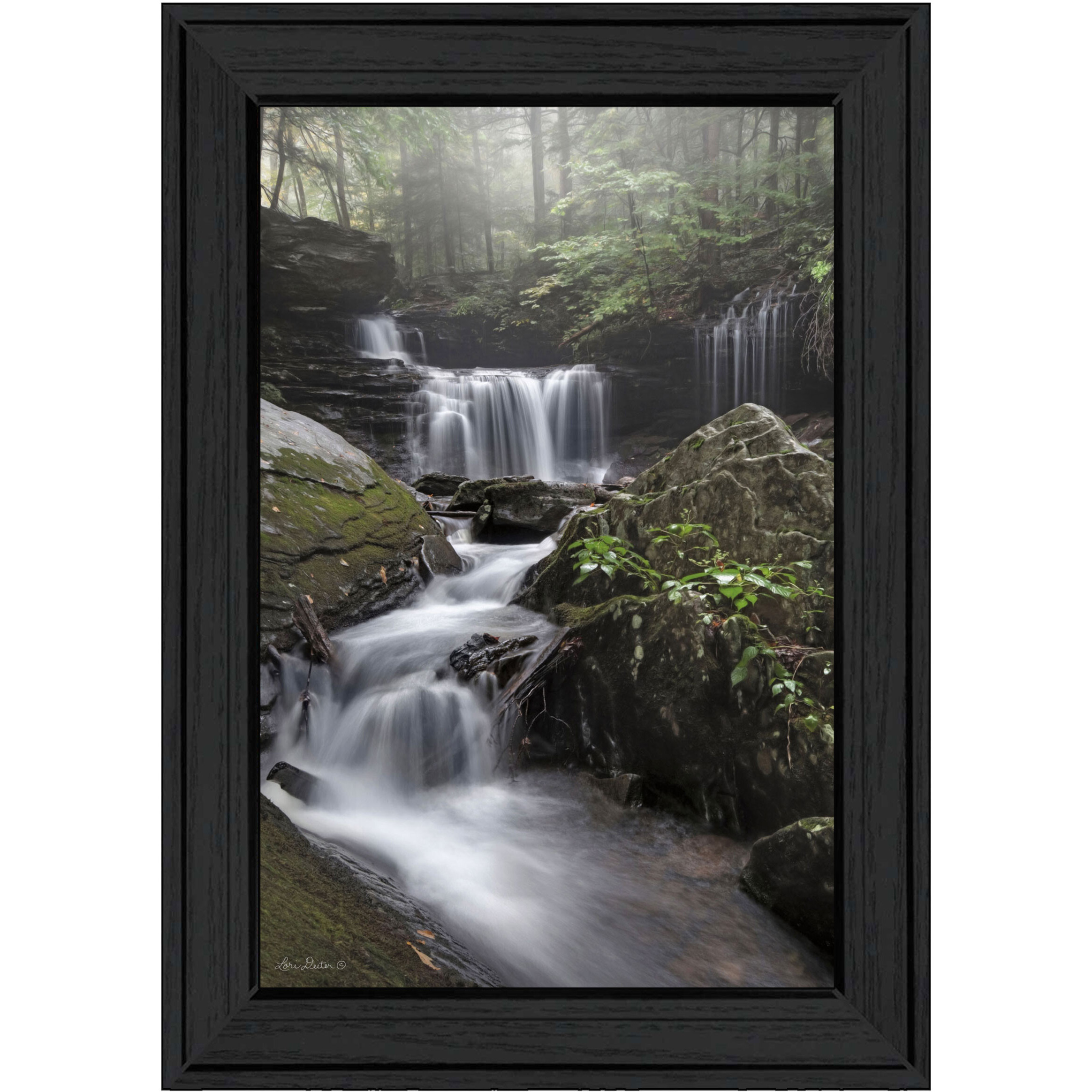 Ricketts Waterfall Black Framed Print Wall Art