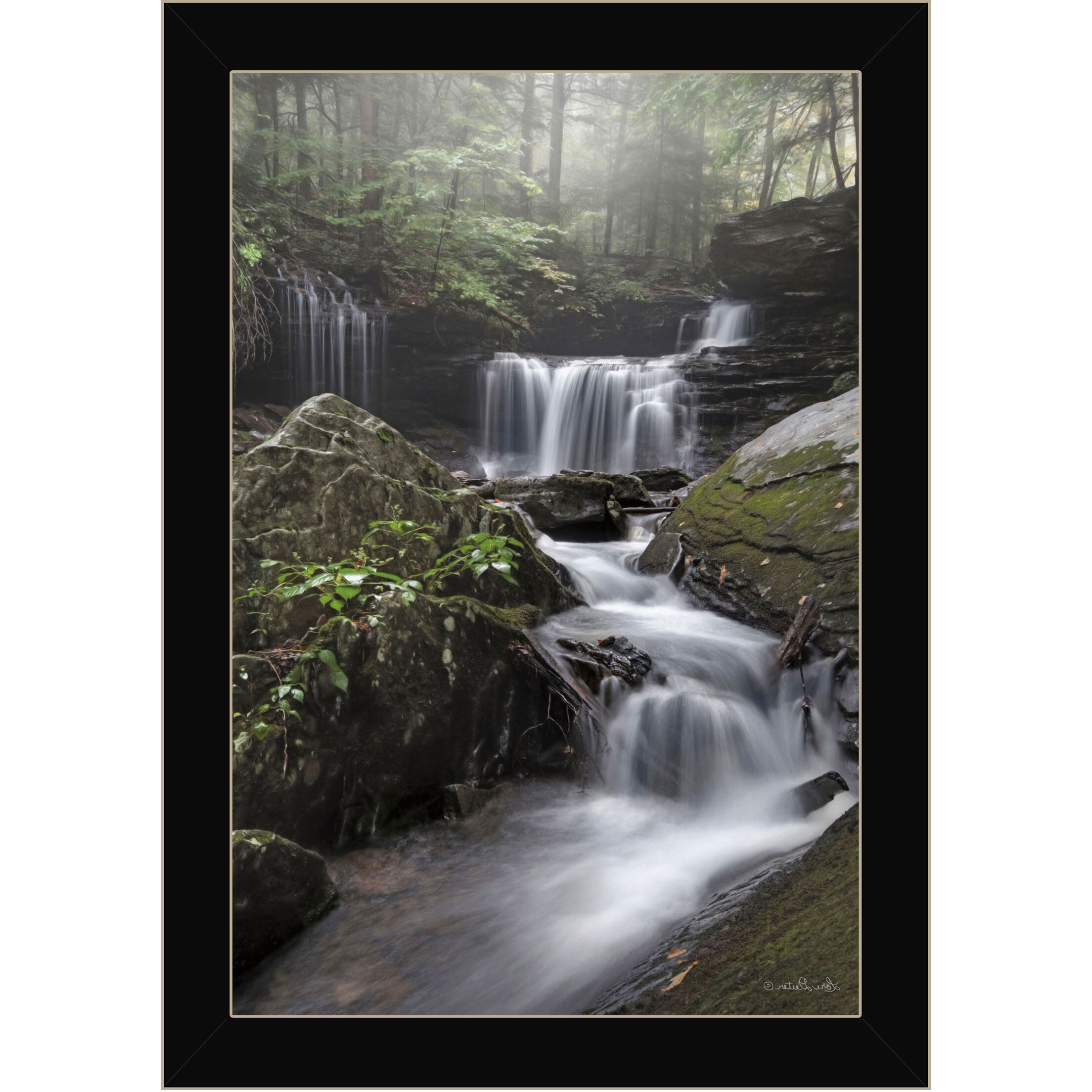 Ricketts Waterfall Black Framed Print Wall Art