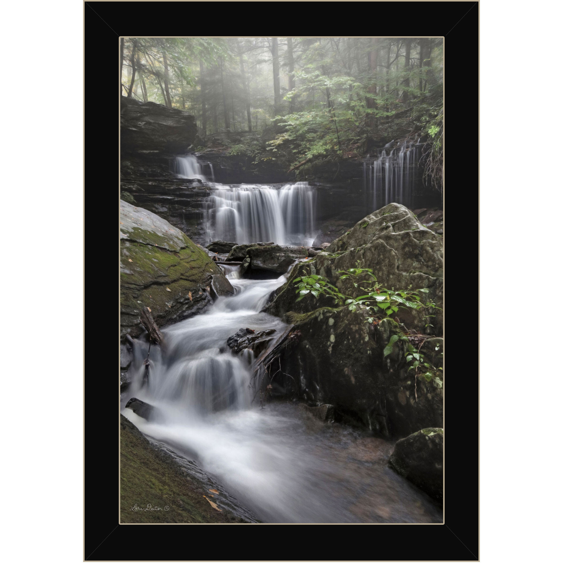 Ricketts Waterfall Black Framed Print Wall Art