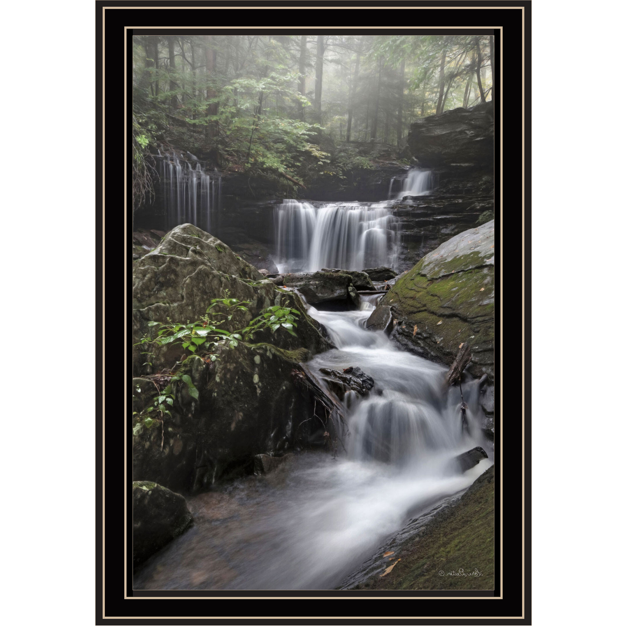 Ricketts Waterfall Black Framed Print Wall Art