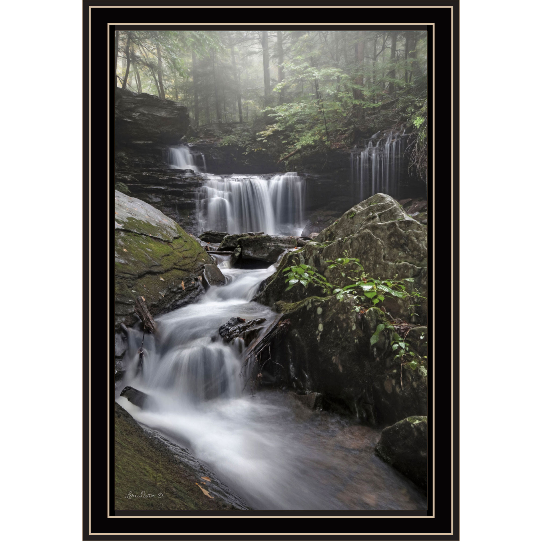 Ricketts Waterfall Black Framed Print Wall Art