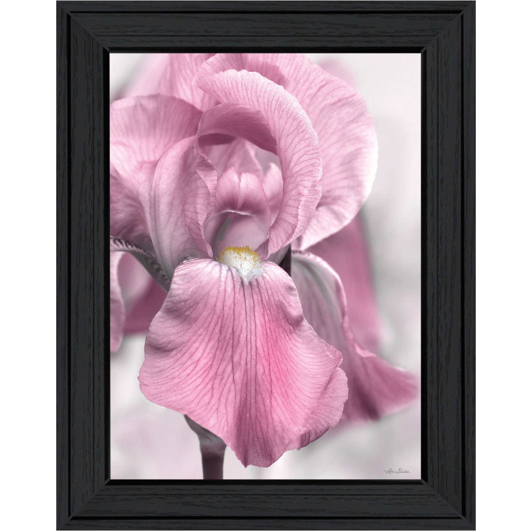 Pink Iris Black Framed Print Wall Art