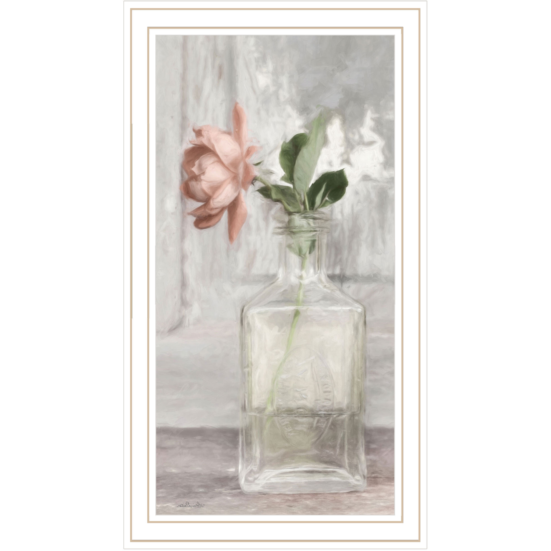 Cottage Peach Rose White Framed Print Wall Art