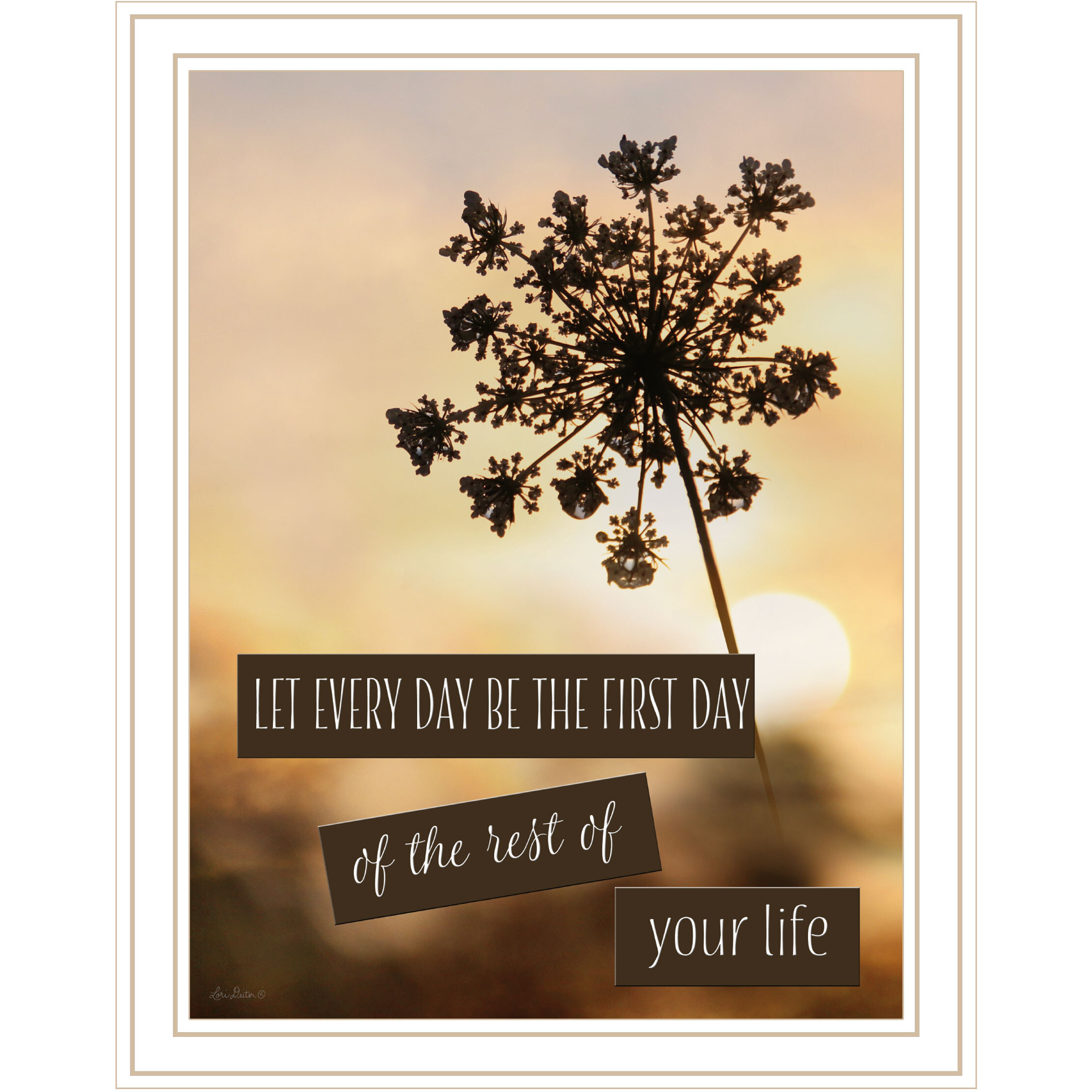 The First Day White Framed Print Wall Art