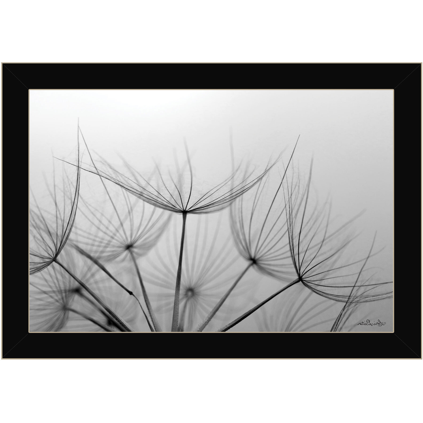Love is a Delicate Flower Black Framed Print Wall Art
