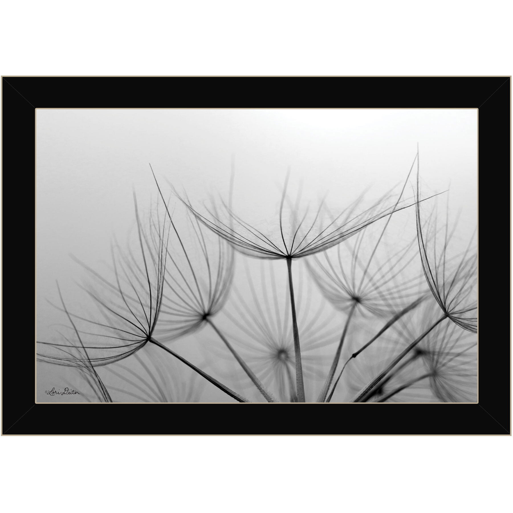 Love is a Delicate Flower Black Framed Print Wall Art