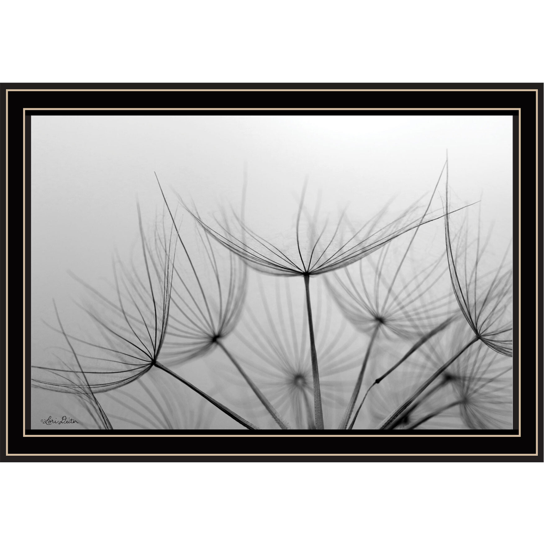 Love is a Delicate Flower Black Framed Print Wall Art