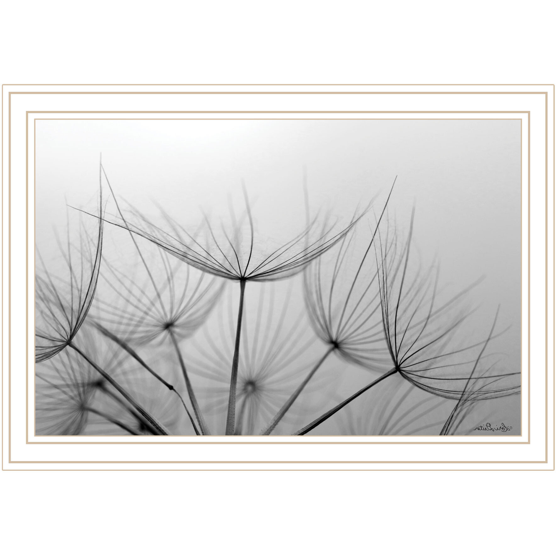 Love is a Delicate Flower White Framed Print Wall Art