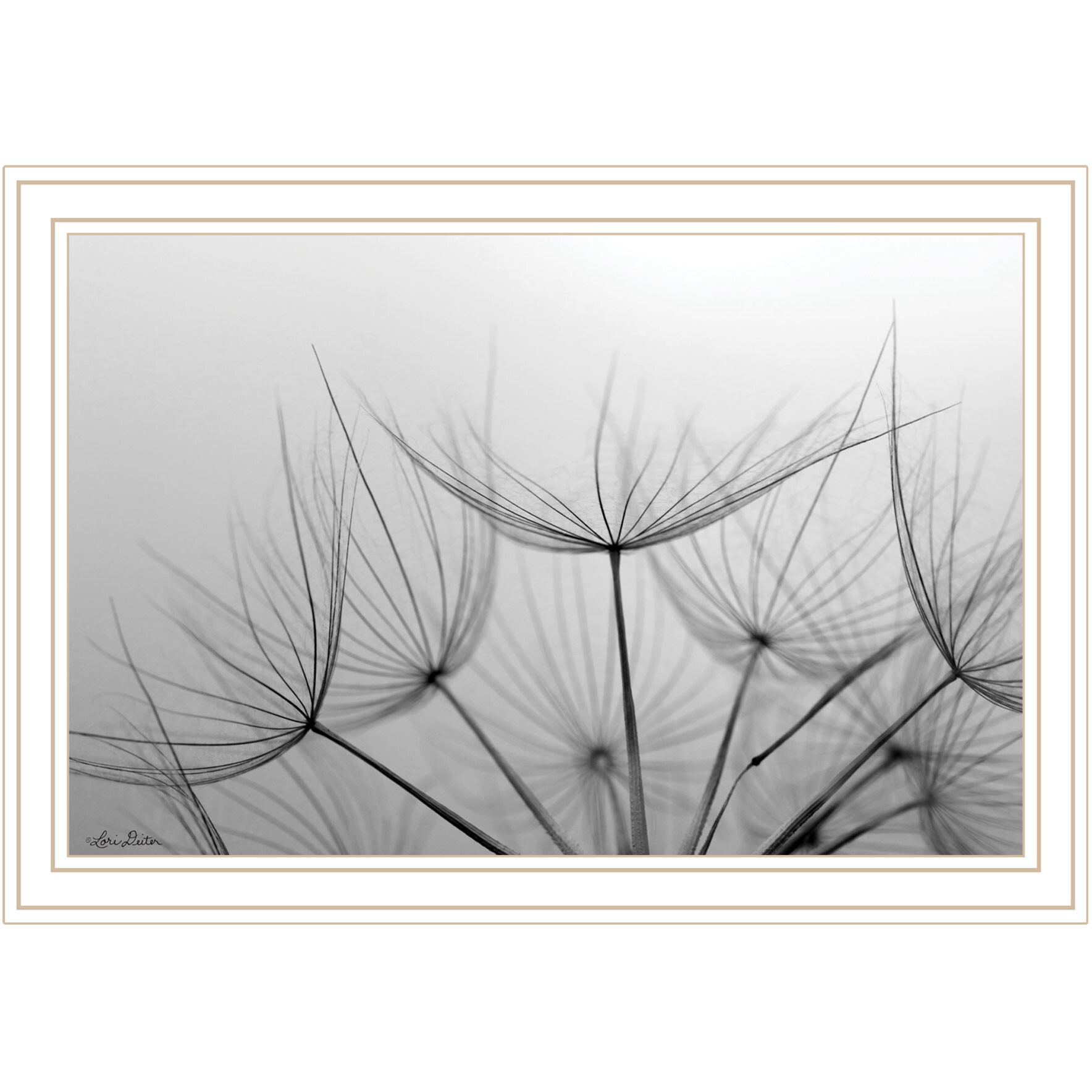 Love is a Delicate Flower White Framed Print Wall Art