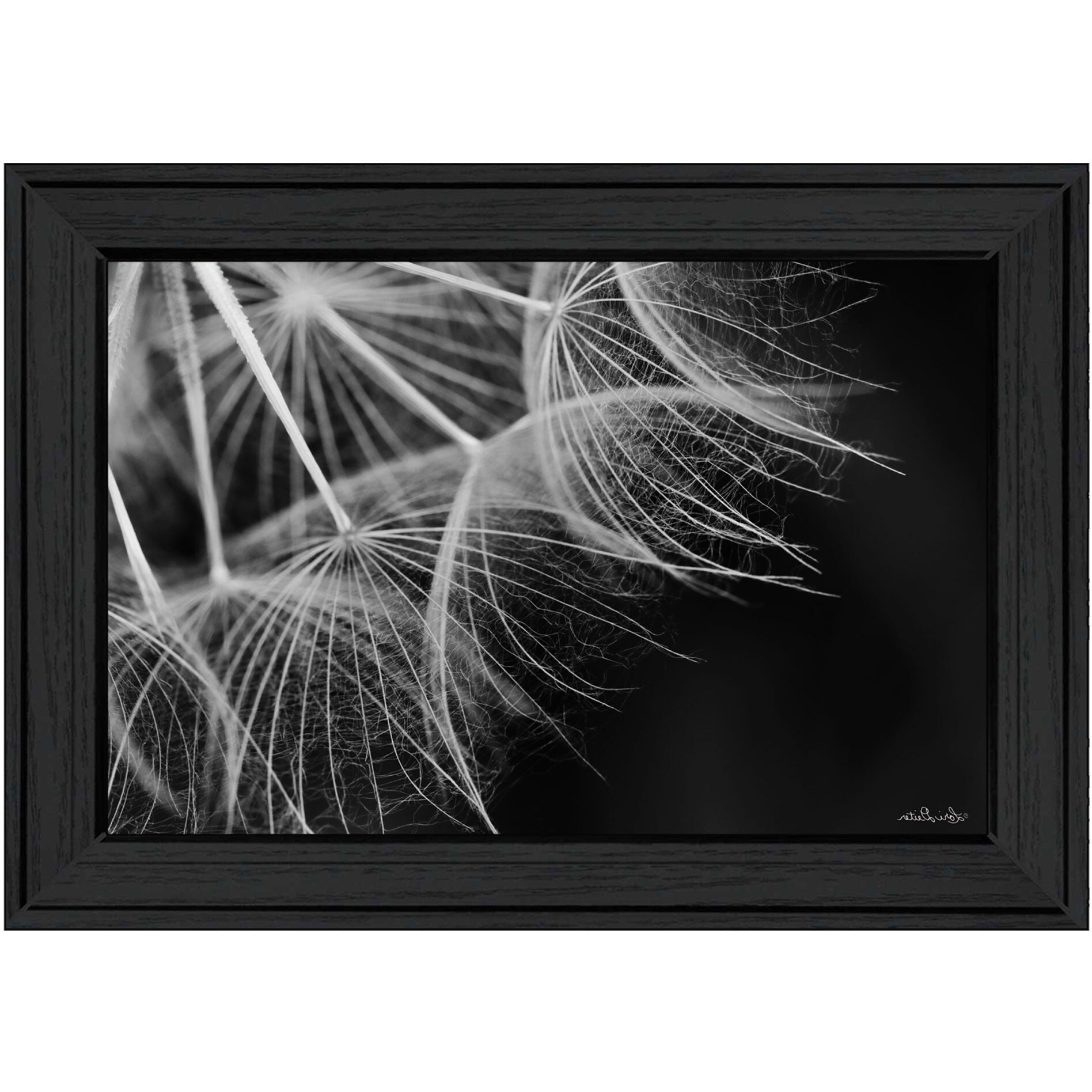 Delicate Beauty Black Framed Print Wall Art
