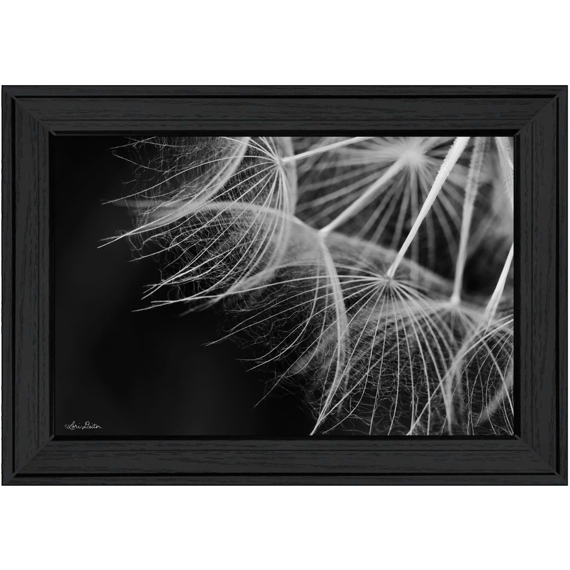 Delicate Beauty Black Framed Print Wall Art