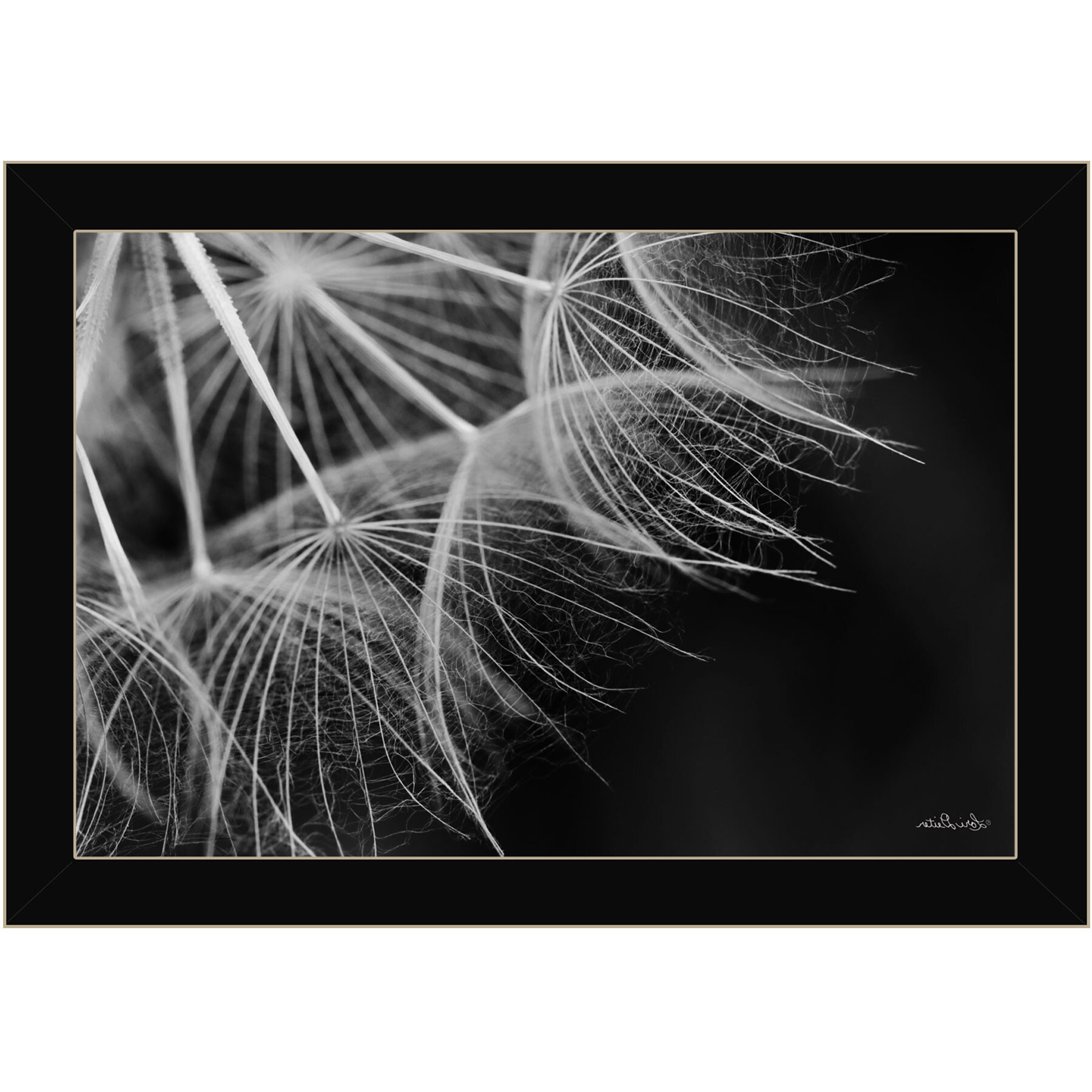 Delicate Beauty Black Framed Print Wall Art