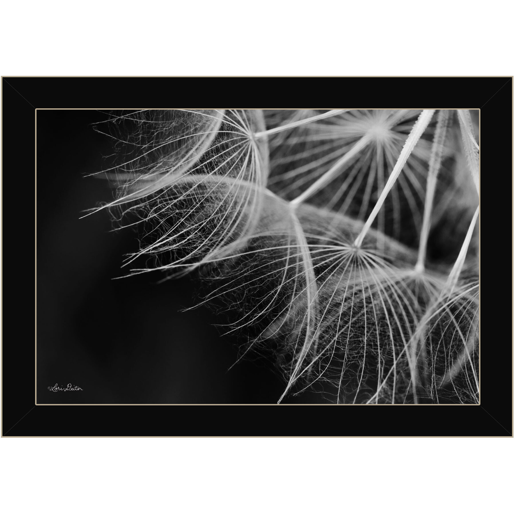 Delicate Beauty Black Framed Print Wall Art