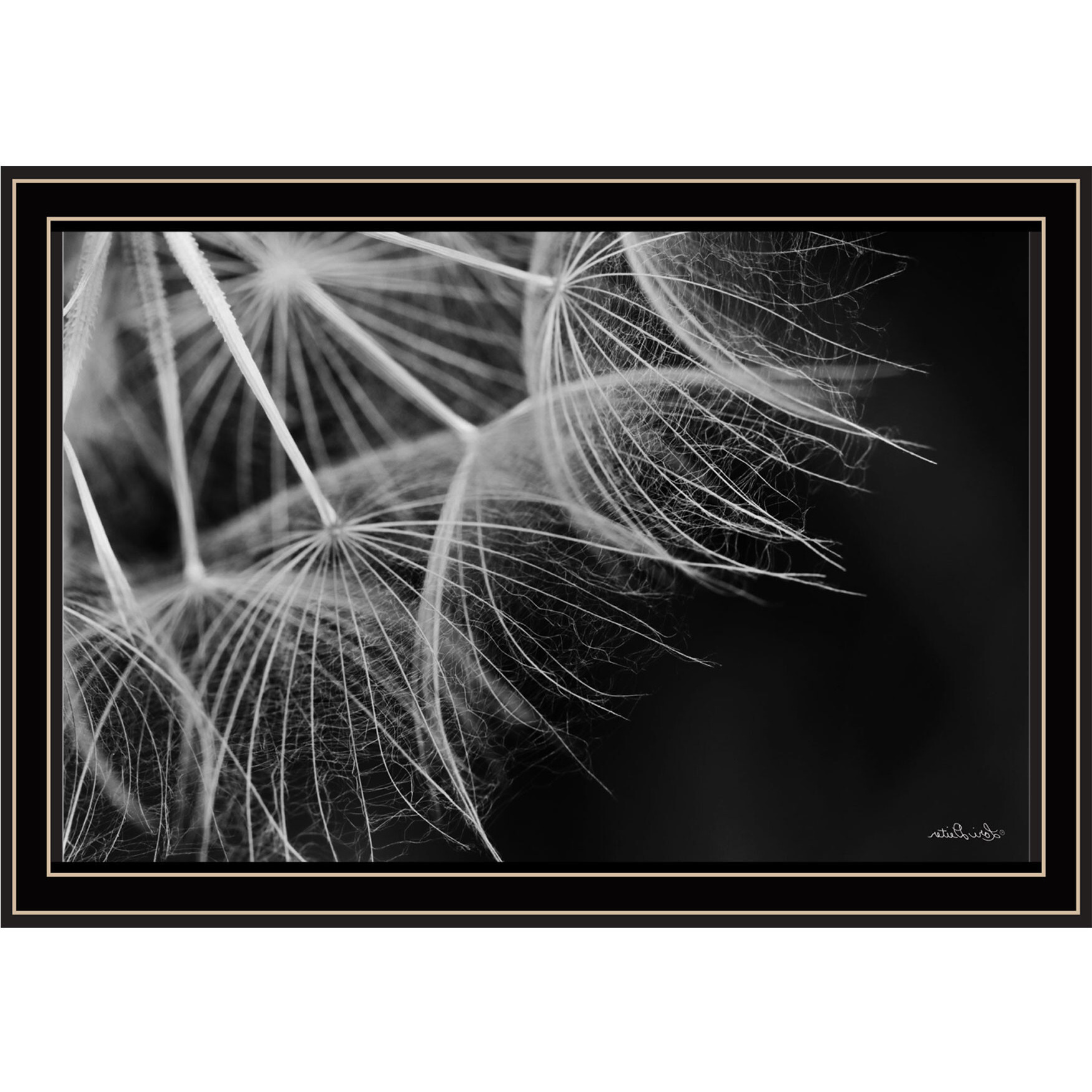 Delicate Beauty Black Framed Print Wall Art