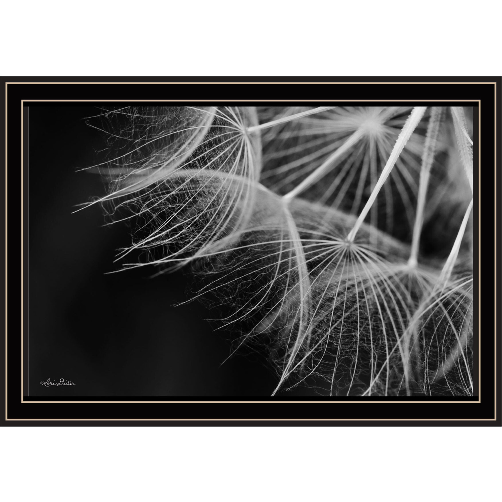 Delicate Beauty Black Framed Print Wall Art