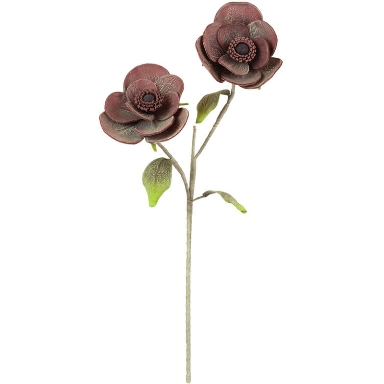 BOTANICA 2665