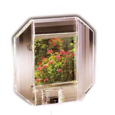 Asfour Crystal 140-160-85 6.29 L x 3.74 H in. Crystal Frame Office Figurines