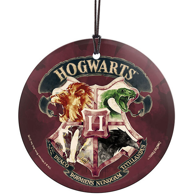 Trend Setters SPCIR996 Harry Potter Draco Dormiens Nunquam Titillandus StarFire Prints Hanging Glass