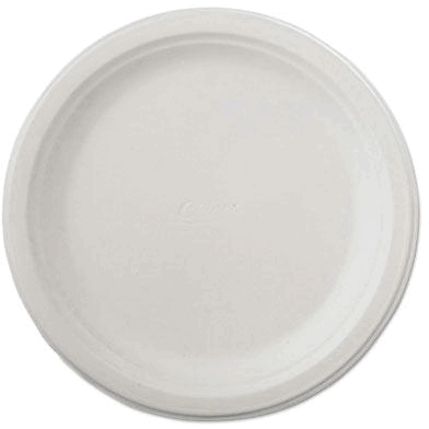 21234 Classic Paper Dinnerware 9 3/4in.