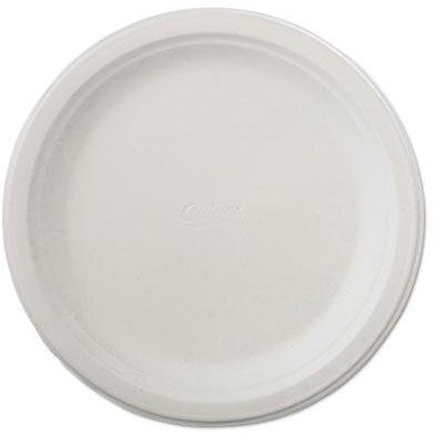 21234 Classic Paper Dinnerware 9 3/4in.