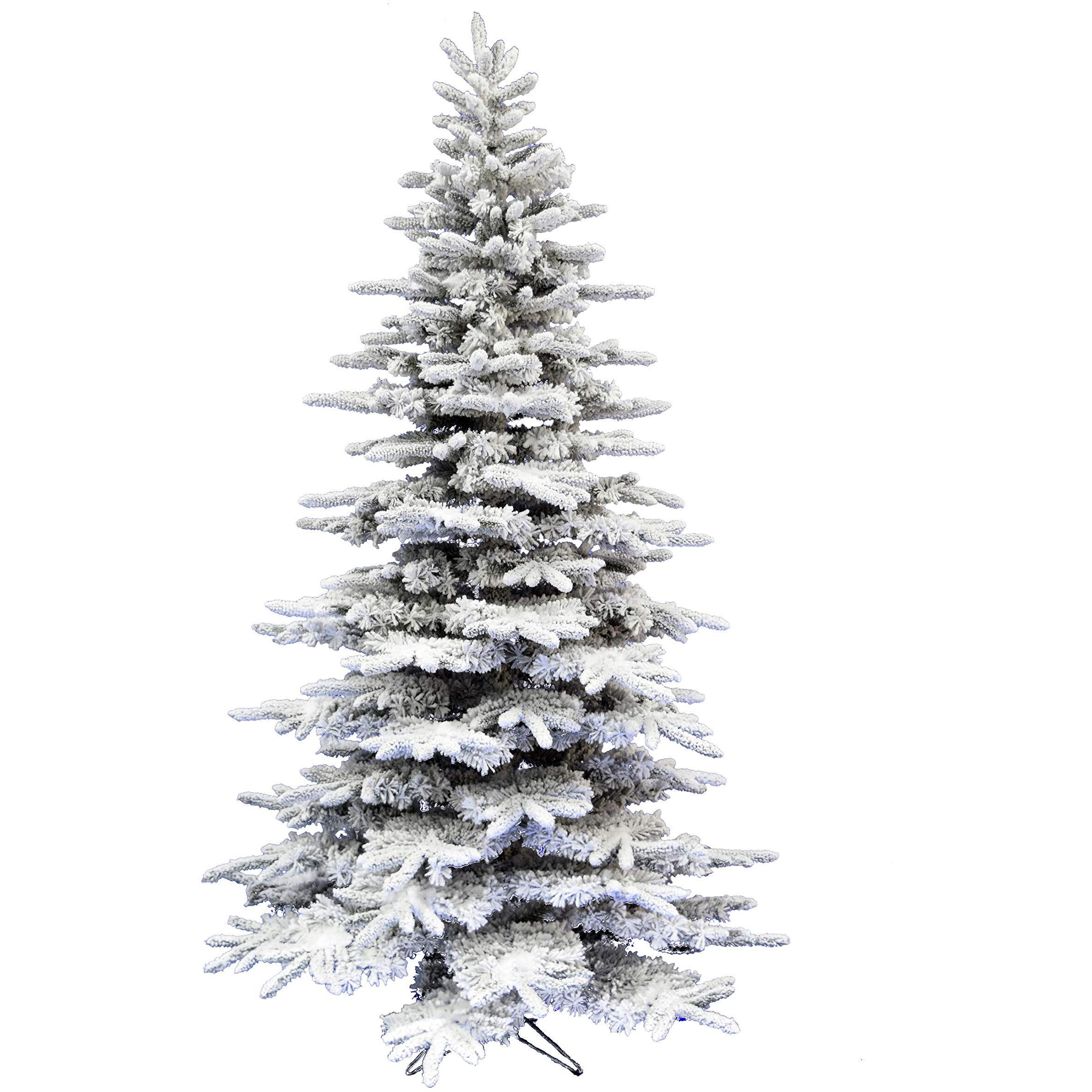 CT 6.5' White Pine, Snowy Tree, No Lights