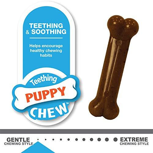Nylabone Puppy Chew Toy Twin Pack - Puppy Chew Toys For Teething - Puppy Supplies - Medley & Chicken Flavor, X-Small/Petite (2 Count)