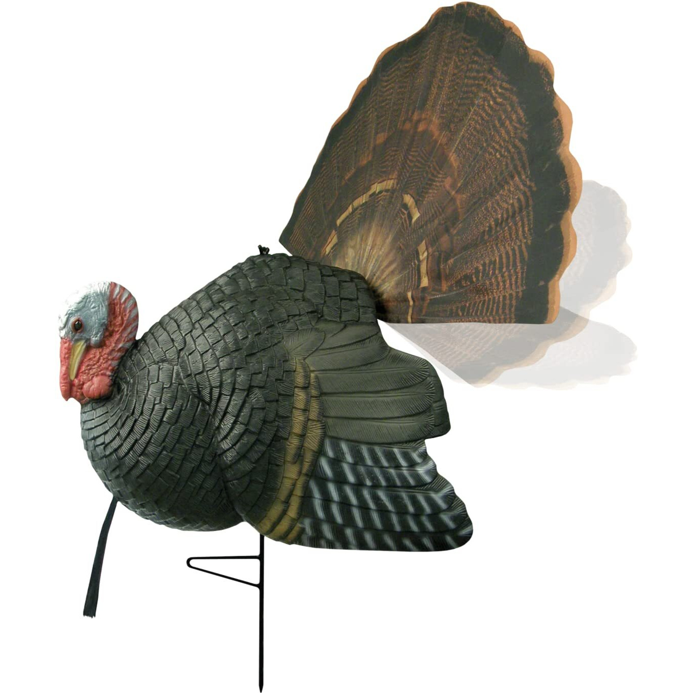 Primos Hunting Killer B Full Strut Turkey Decoy - Moveable Fan, 90 Ft Pull Rope & Iridescent Colors Gives Lifelike Appearance, Lightweight & Mobile Turkey Hunting Decoy