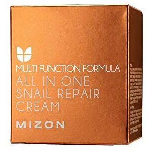 Mizon All In One Snail Repair Cream, Face Moisturizer With Snail Mucin Extract, Recovery Cream, Korean Skincare, Wrinkle & Blemish Care (253 Fl Oz Pack Of 1)