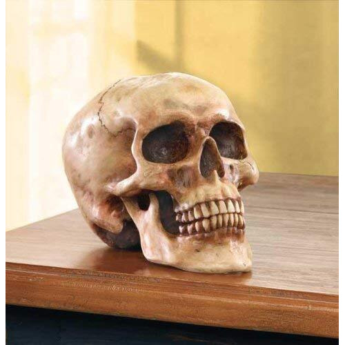 Grinning Highly Realistic Replica Human Skull Statue Home D      Cor 6.5X4.25X4.6""