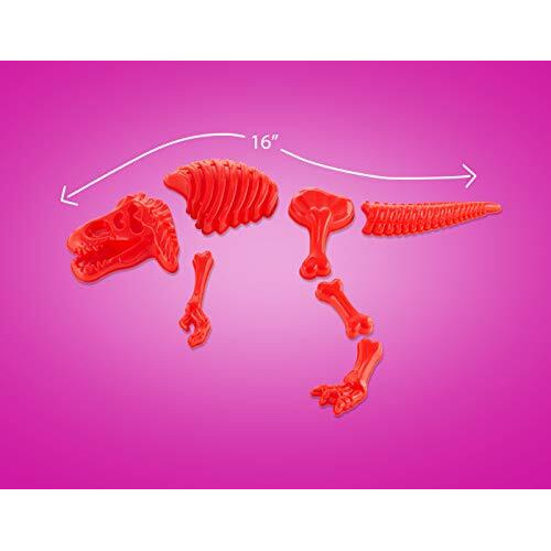 Top Race 3 Large Dinosaur Sand Molds, Fossil Skeleton Beach Toy Set - Perfect For Dinosaur Bones For Sandbox Play.