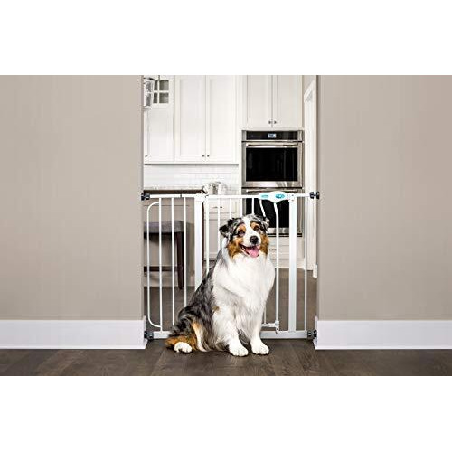 Carlson Extra Wide Walk Through Pet Gate With Small Pet Door, Includes 4-Inch Extension Kit, Pressure Mount Kit And Wall Mount Kit