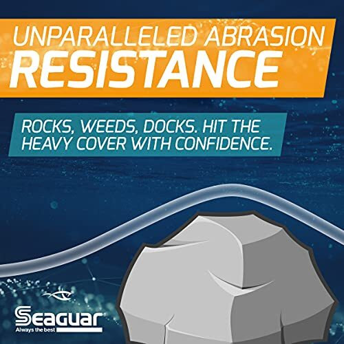 Seaguar Abrazx 100% Fluorocarbon 200 Yard Fishing Line (8-Pound) Clear