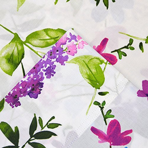 Pointehaven 100% Cotton Percale Sheets - Printed Bed Sheet & Pillowcase Sets - Soft Cotton 4 Piece Bed Sheets Set - Fits Mattress 18 Inches Deep Pocket - Color (Twin, Prima)