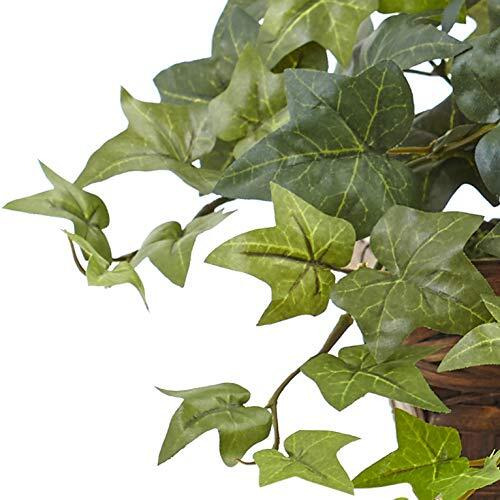 Puff Ivy W/Ledge Basket