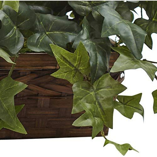 Puff Ivy W/Ledge Basket